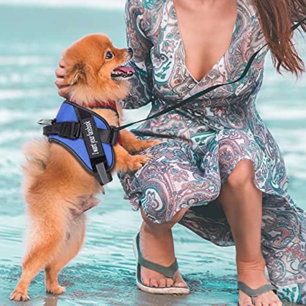 Dog Adjustable Walking Pet Harness Reflective Breathable Vest with Handle Blue S - Picture 4 of 6
